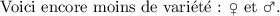 LaTeX 
\documentclass{article}
\usepackage{wasysym}
\pagestyle{empty}
\begin{document}
Voici encore moins de variété : \female{} et \male. 
\end{document}